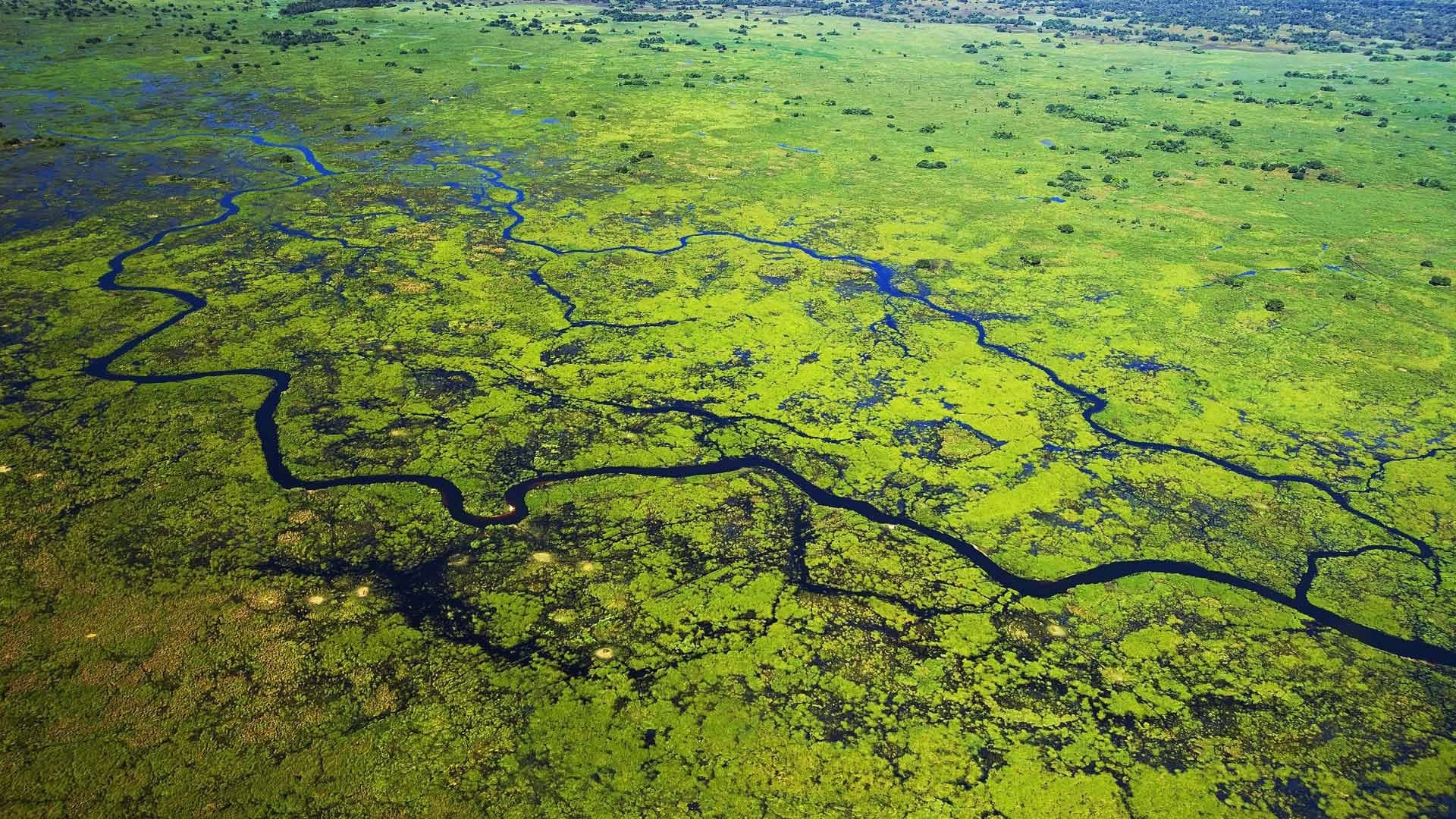 a sky view of the Amazon national park