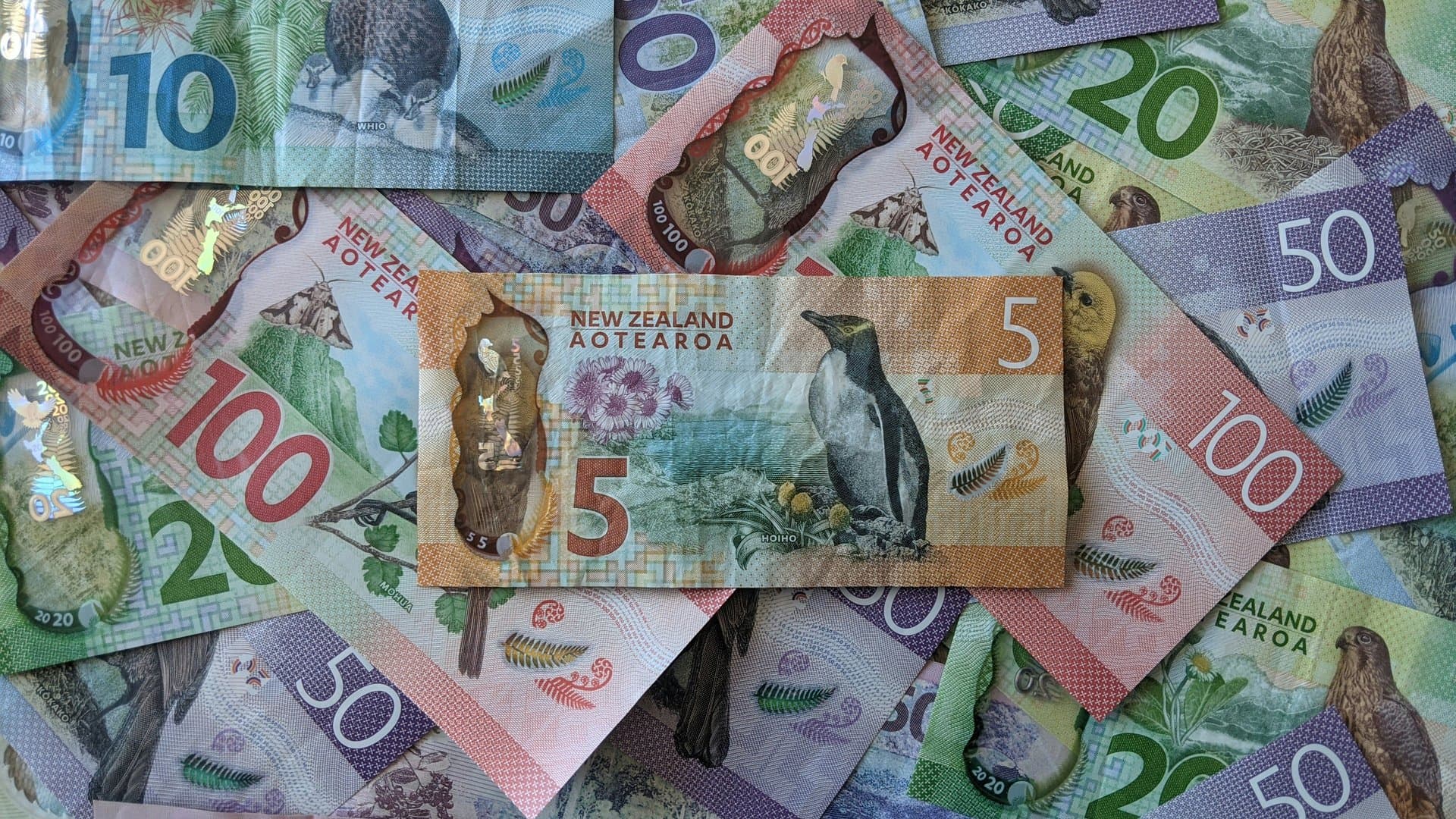 a spread of New Zealand currency notes
