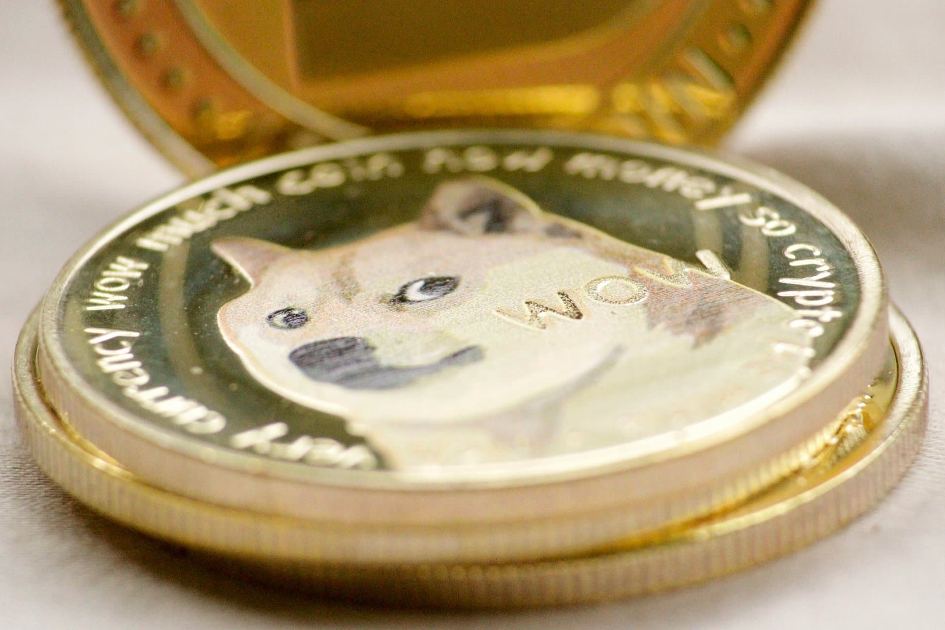 a doge coin