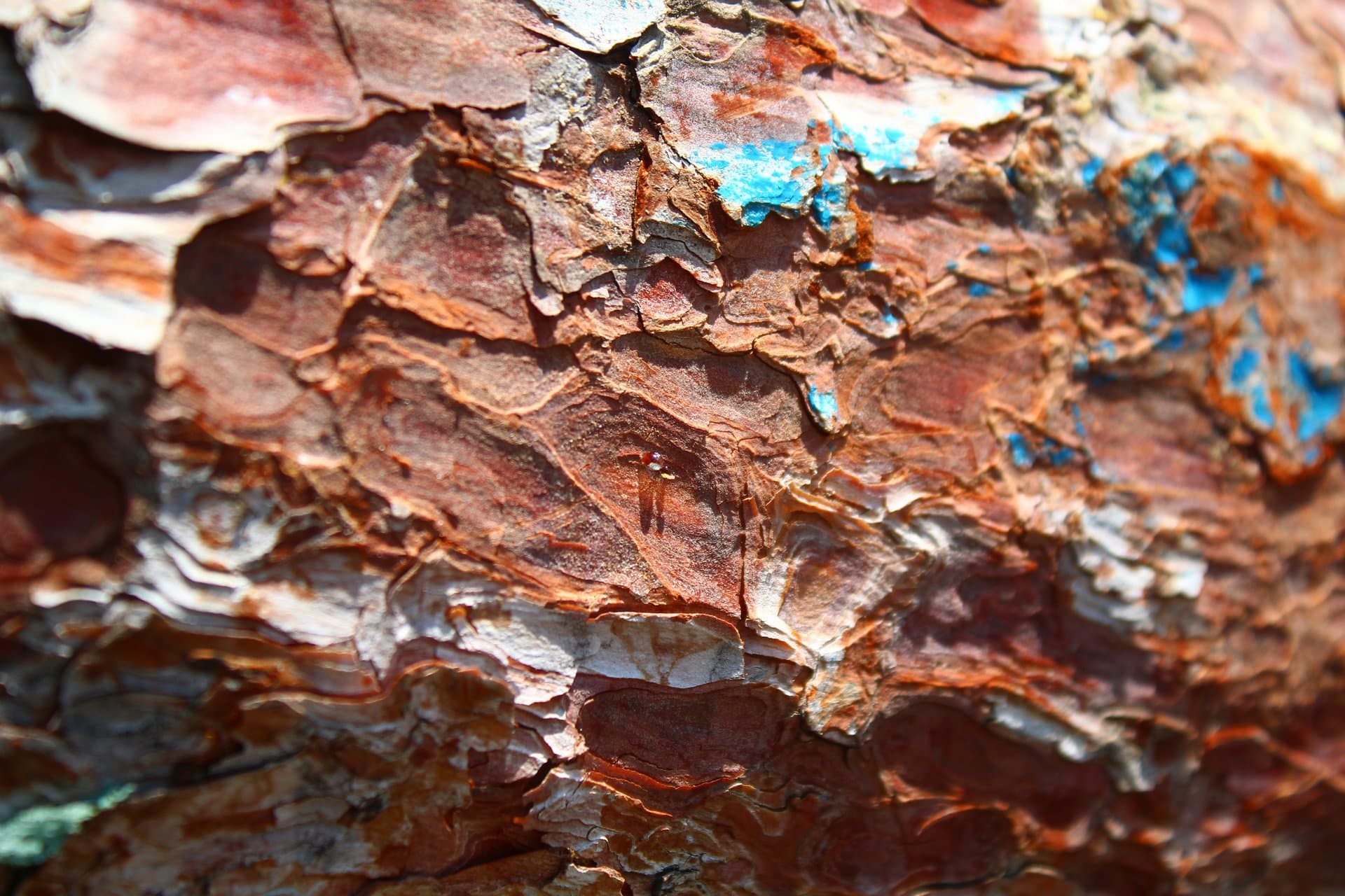 a rare earth material