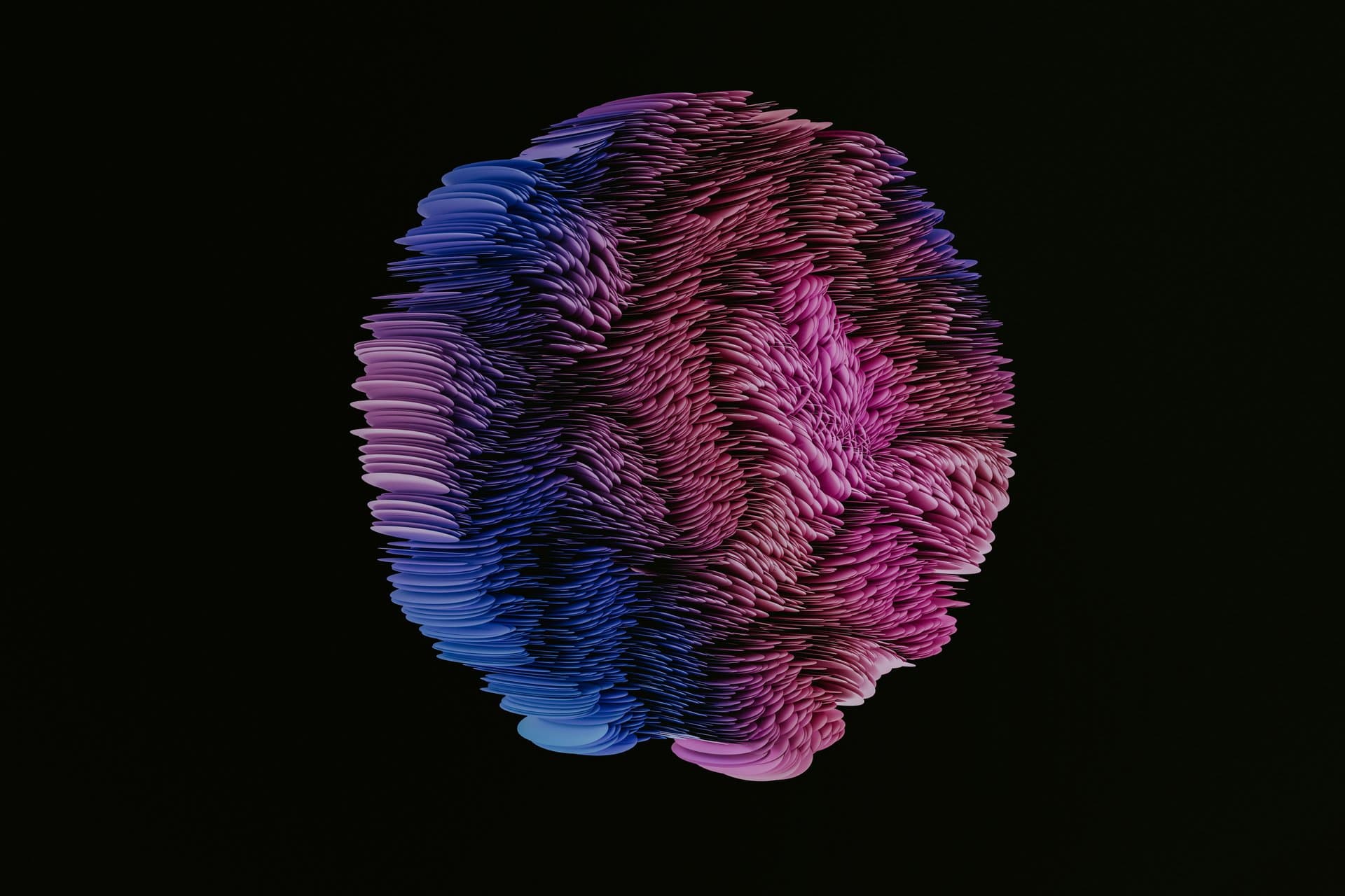 a colorful circle made of leaves in a black background