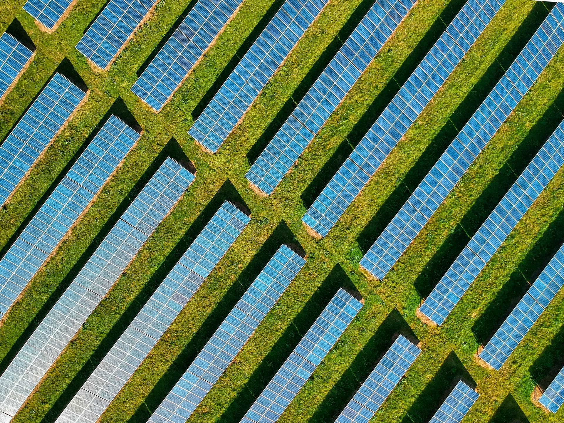 a solar farm