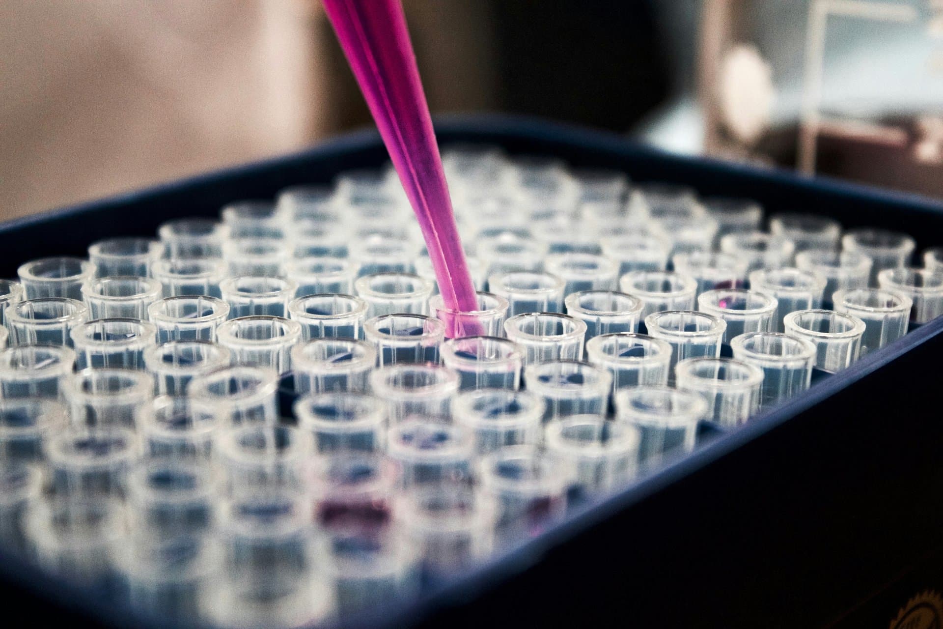lots of test tubes