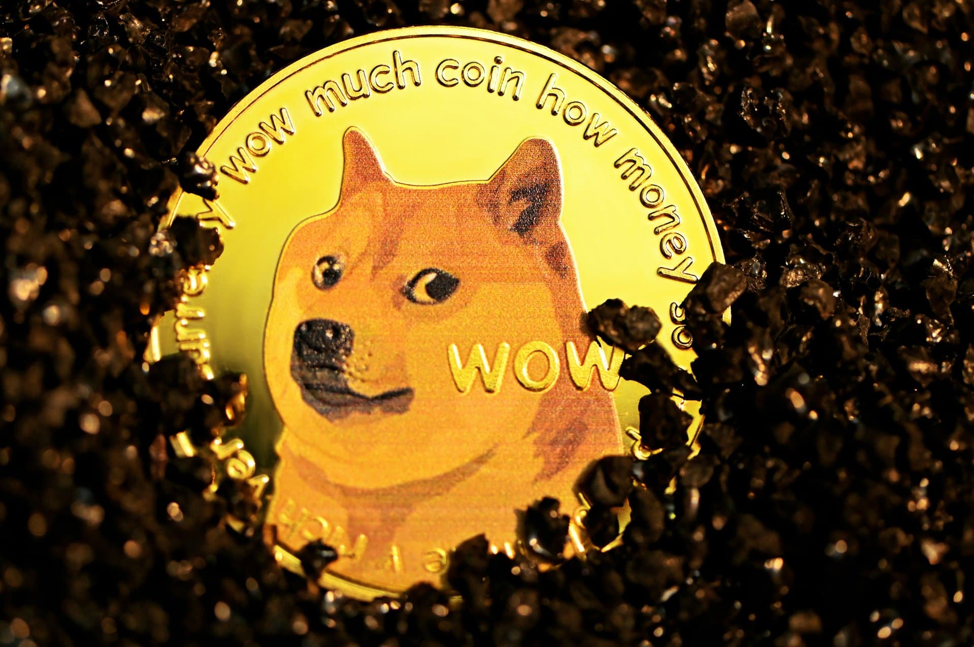 Dogecoin logo