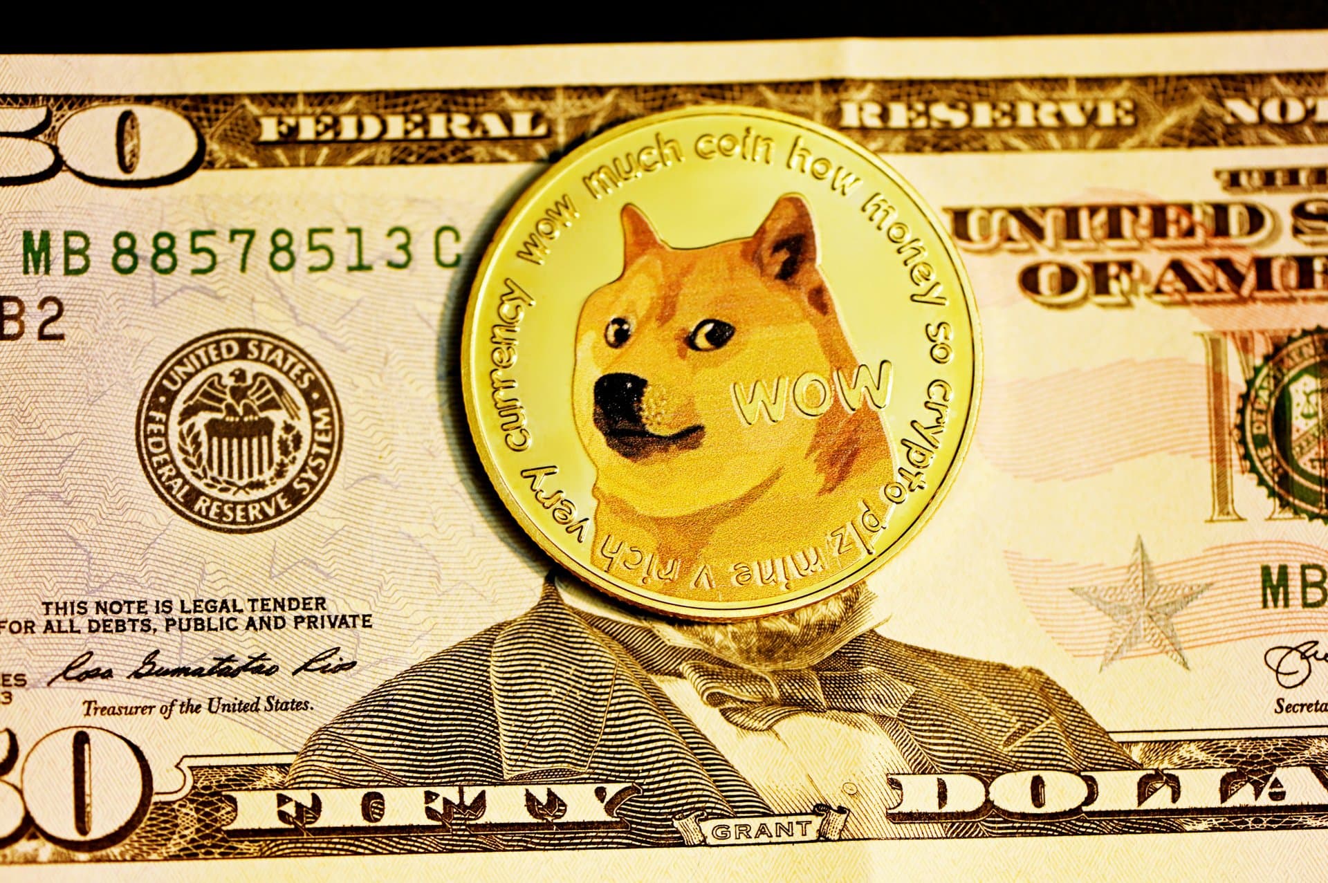 a dogecoin picture on a dollar bill