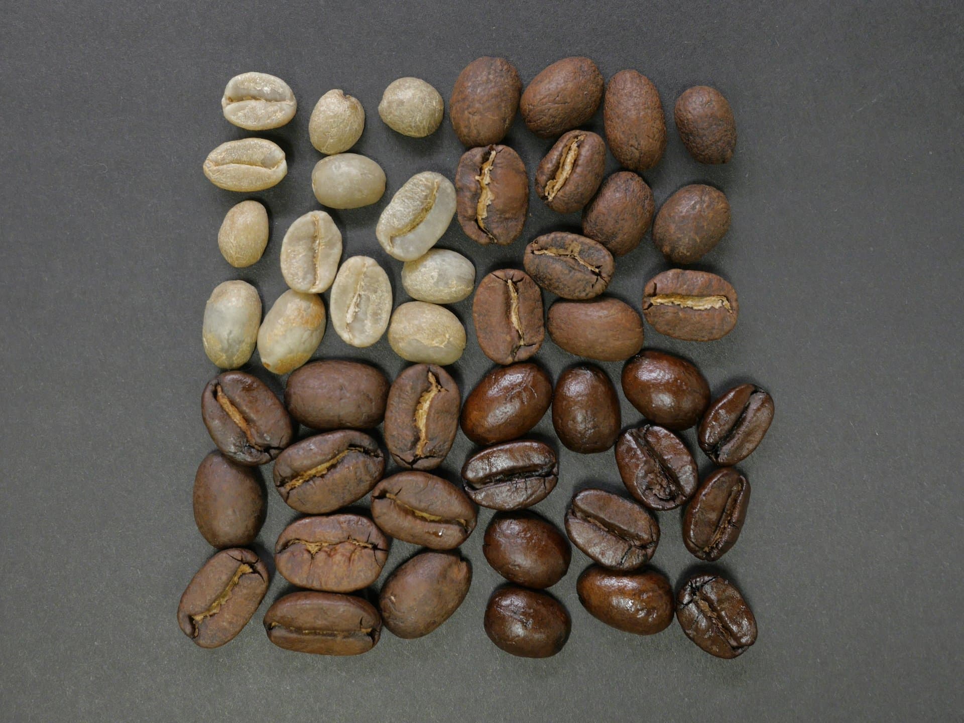 Cocoa beans