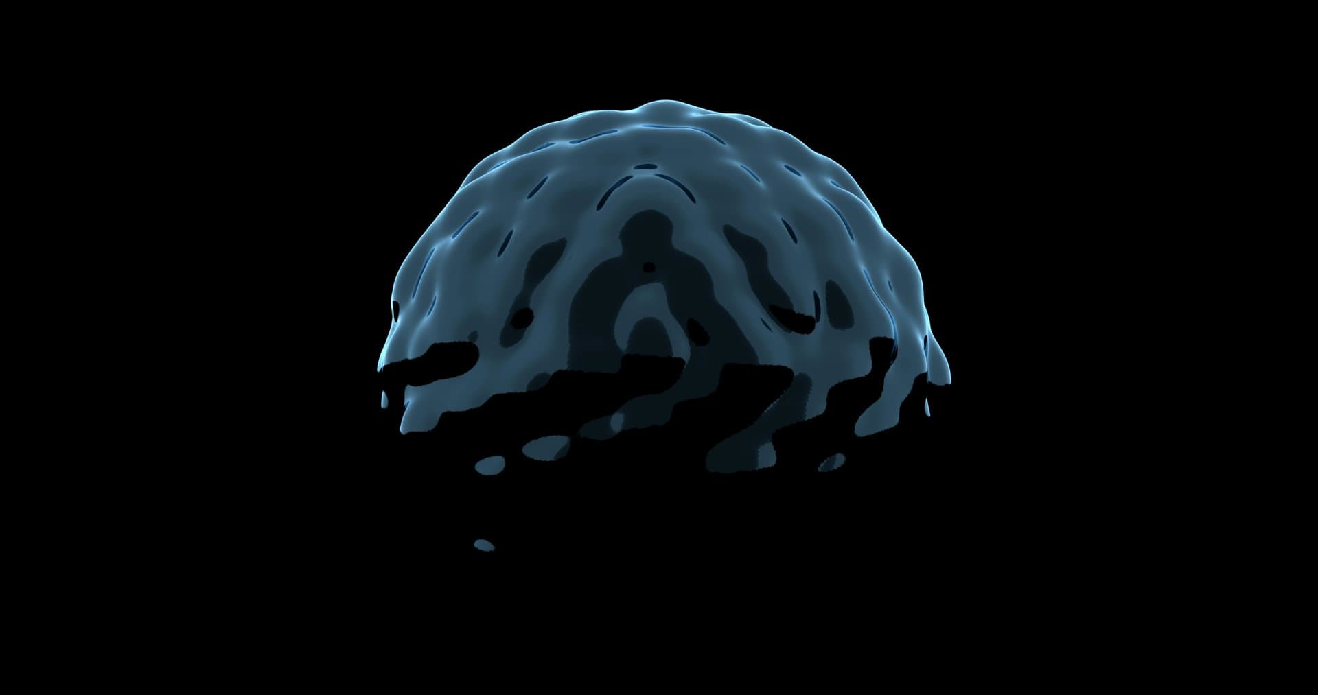 brain model