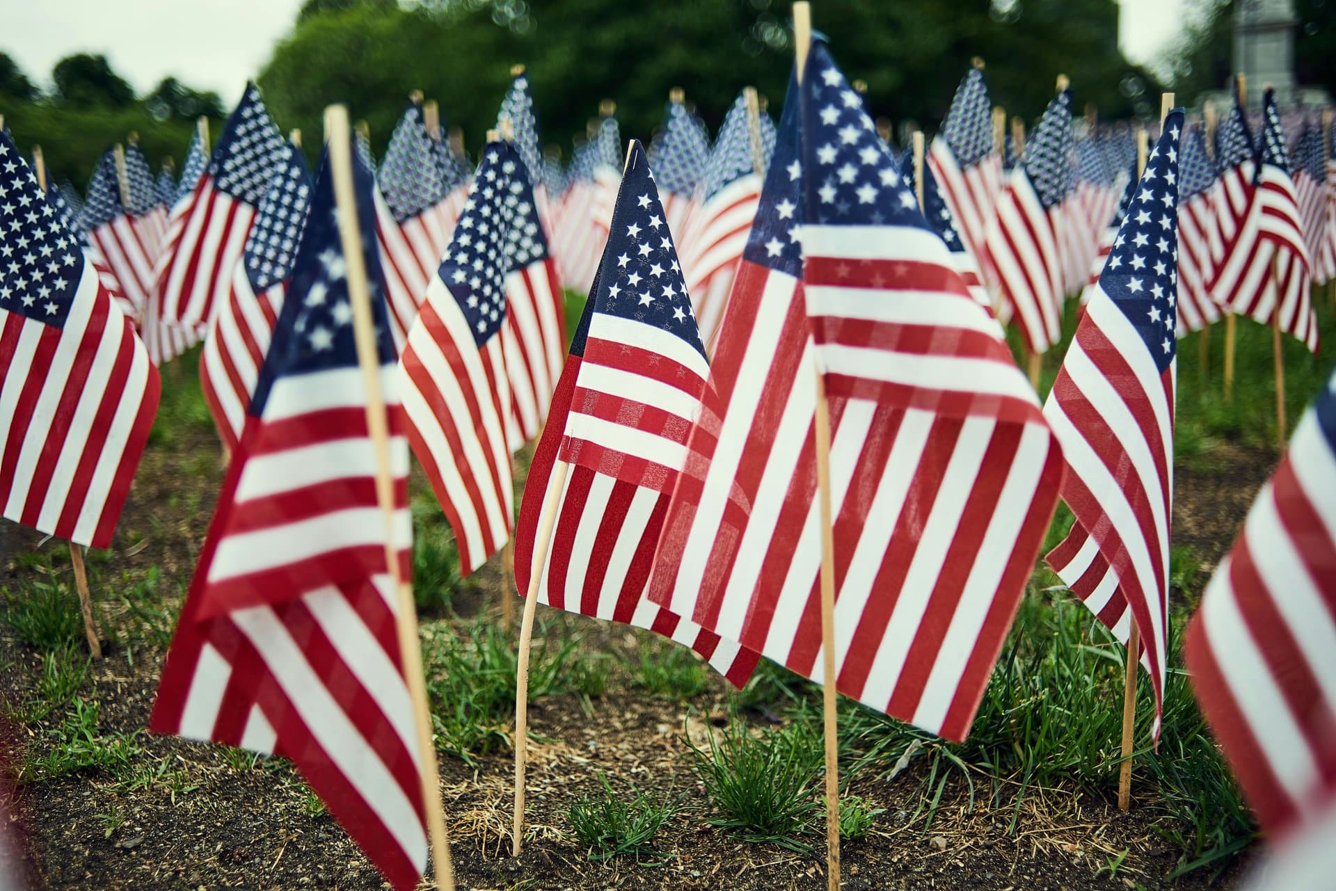 a series of american flags planted in the field