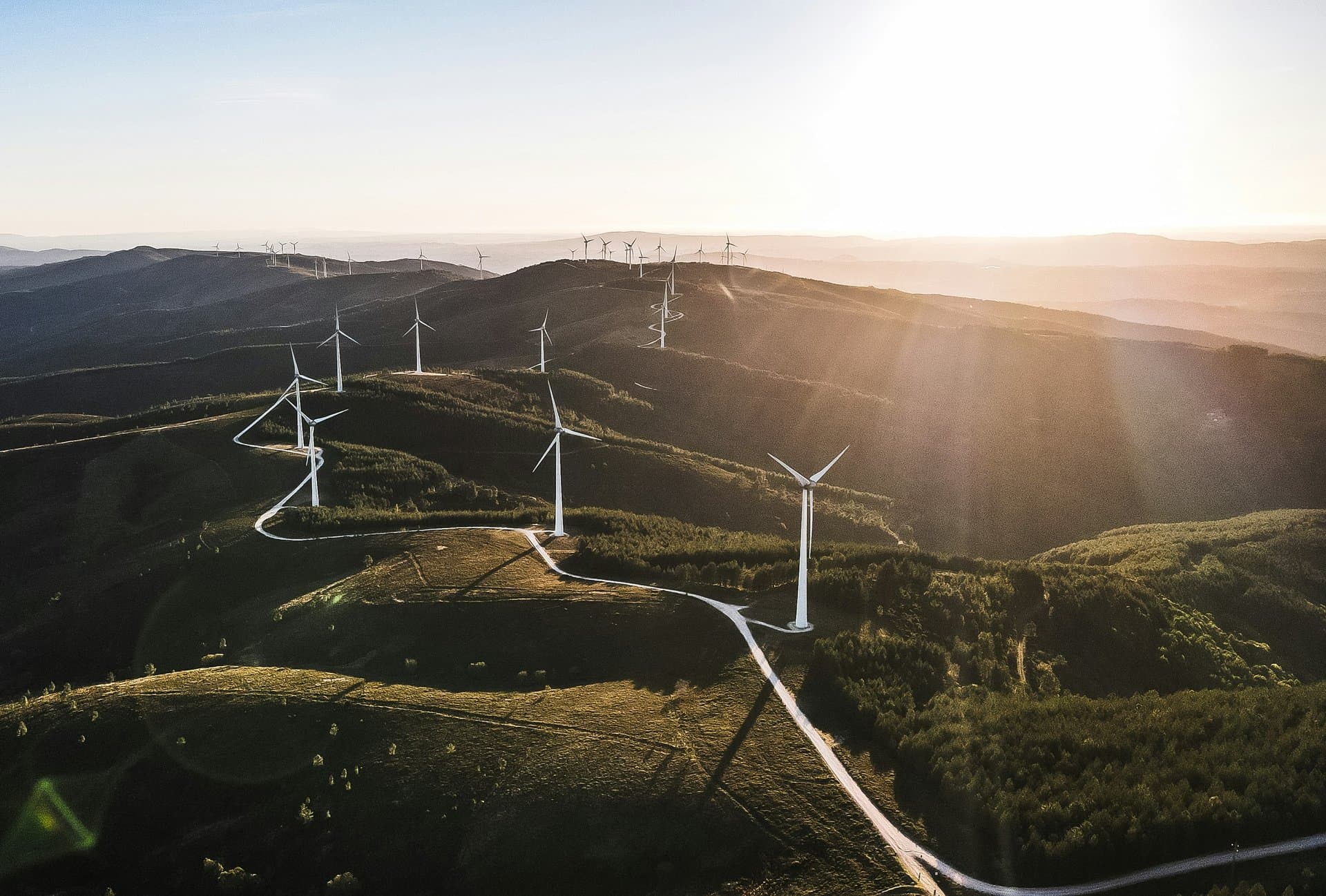 wind mills on a field