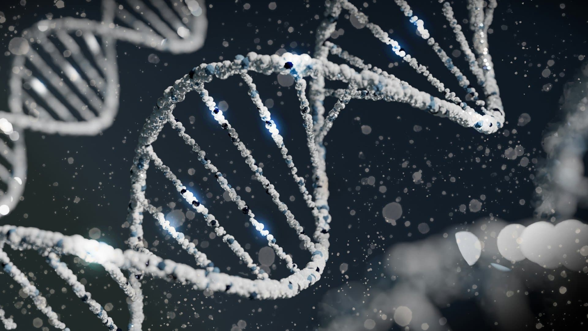 DNA illustration