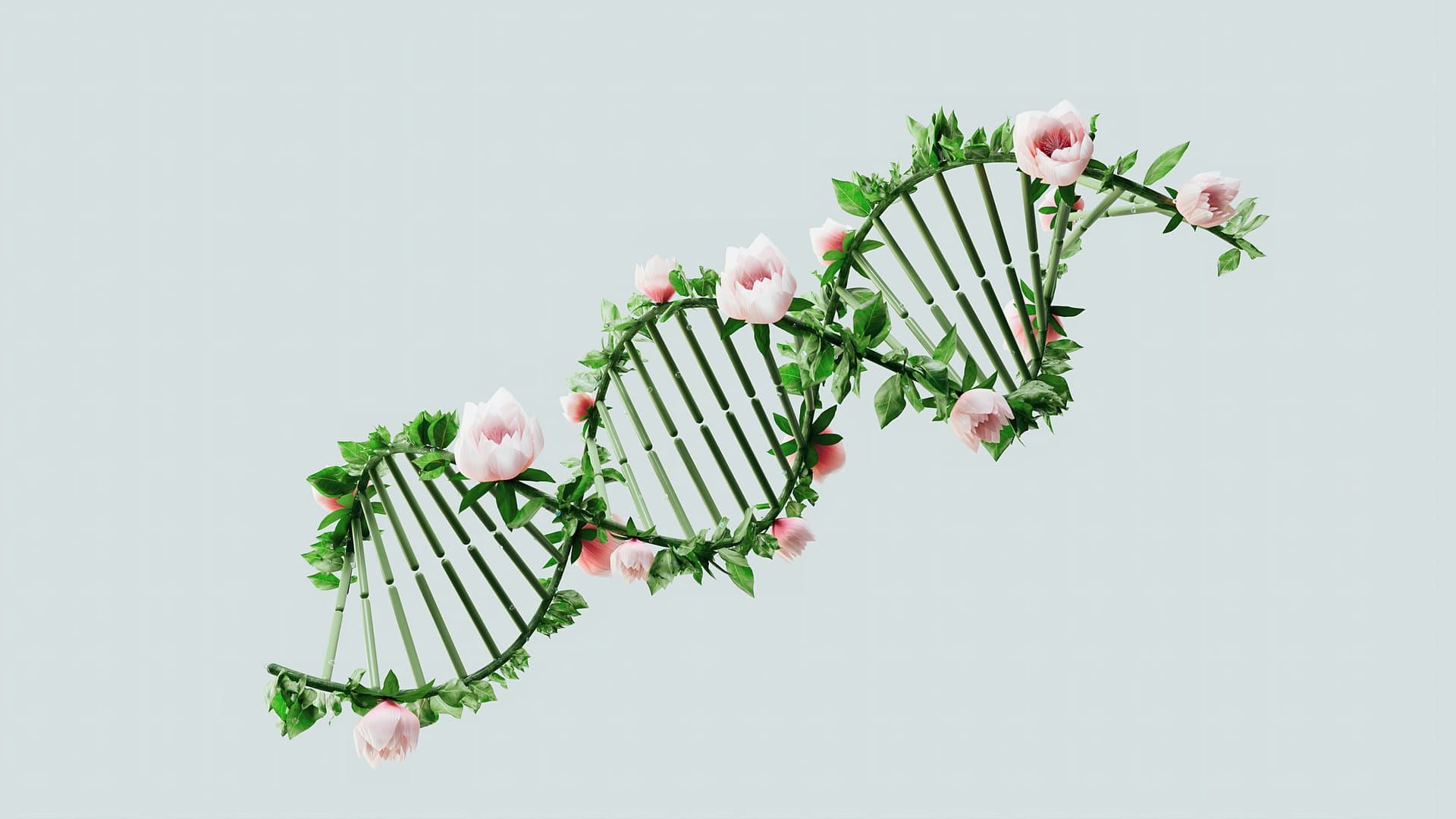 a dna illustration