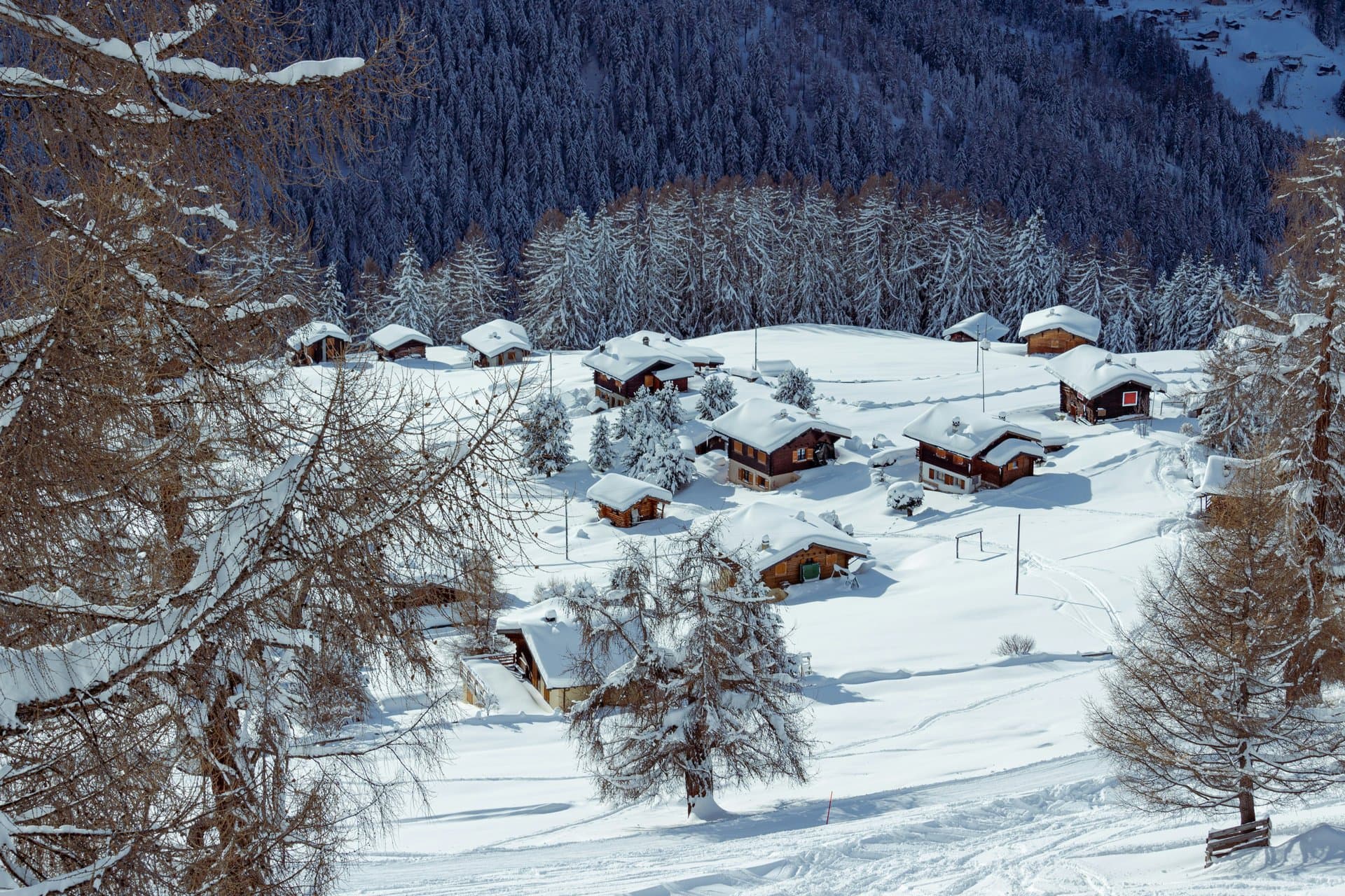 a ski resort