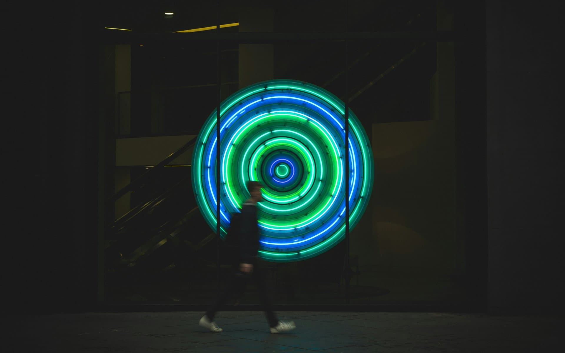 neon lights in the dark