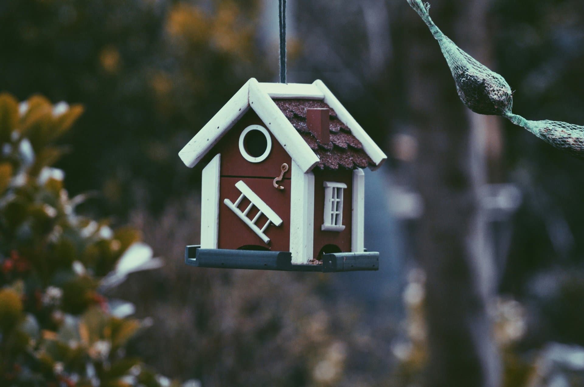 a small bird house hanging from a tree