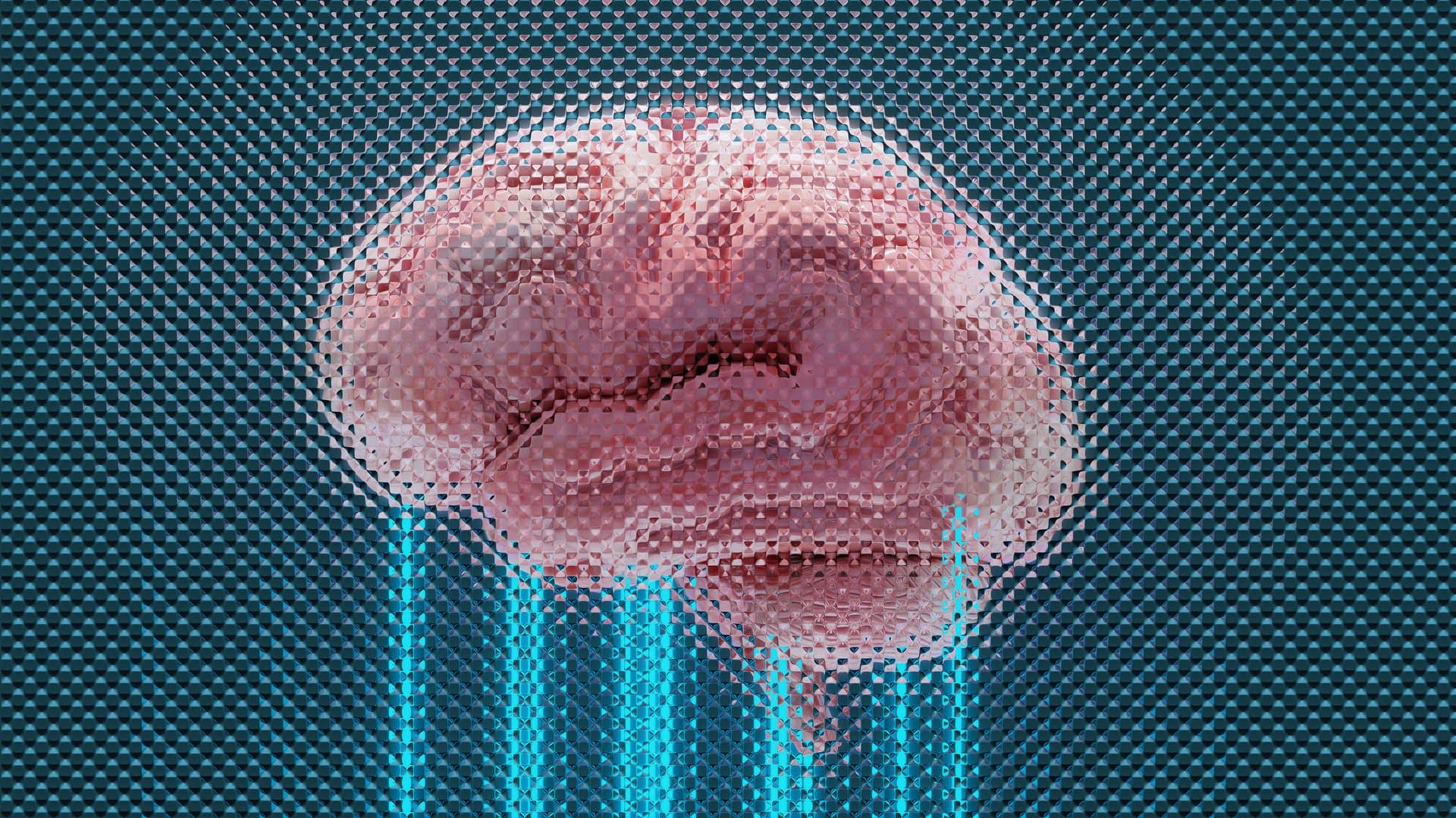 a brain