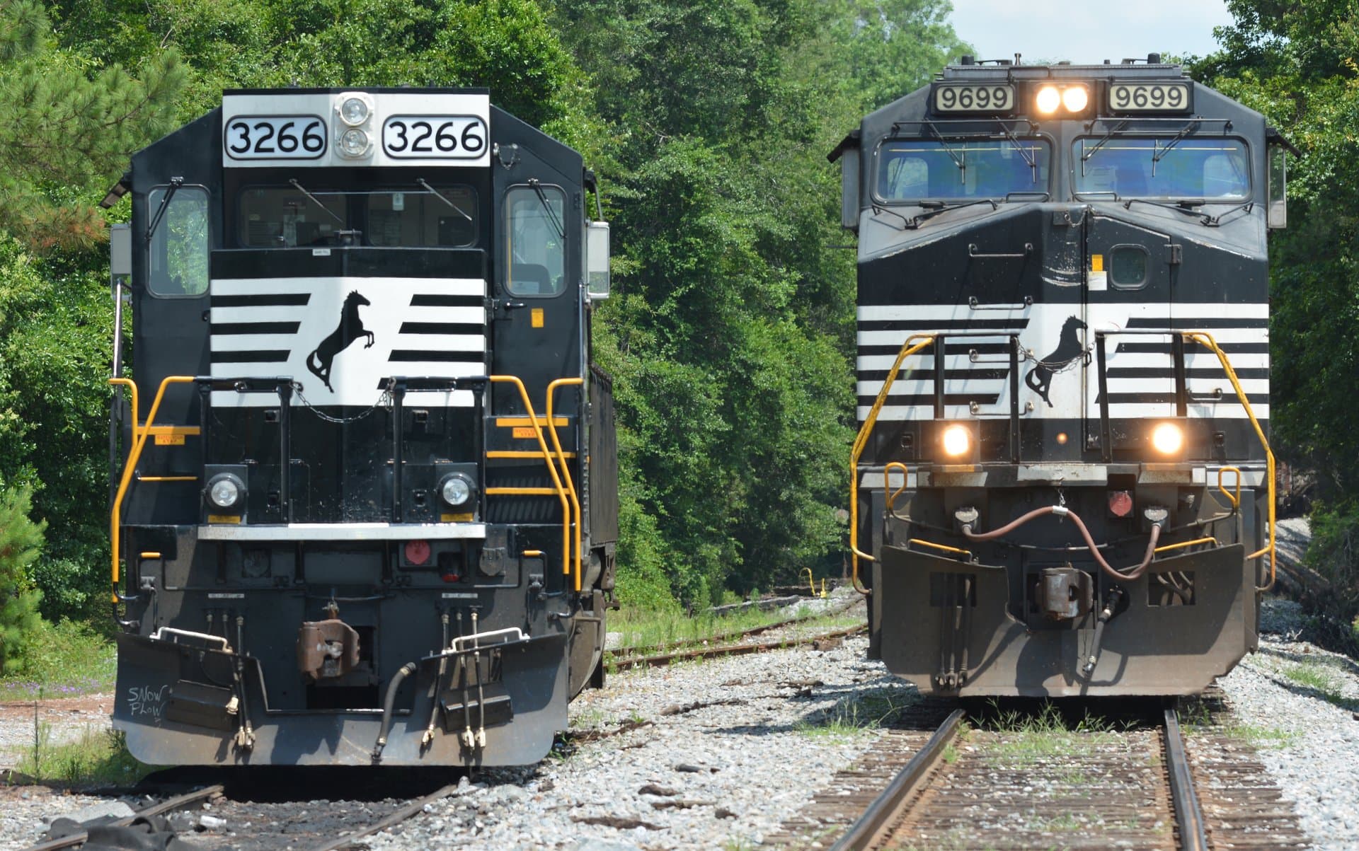 Norfolk Southern Train